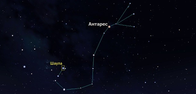 Шаула (лямбда Скорпиона)