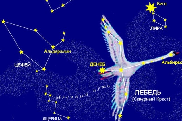 Созвездие Лебедя схема