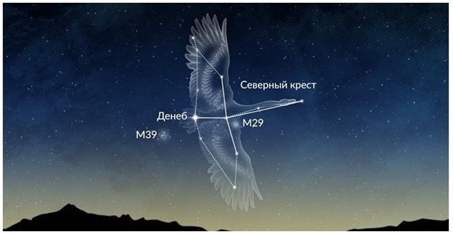 Лебедь — созвездие.