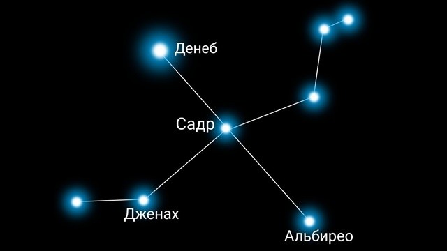 Звезды Лебедя