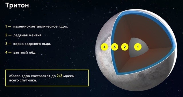 строение Тритона